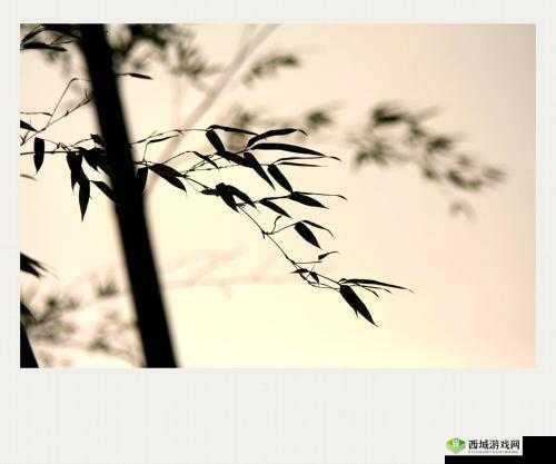 激情碰撞：鑰佸笀 1V3