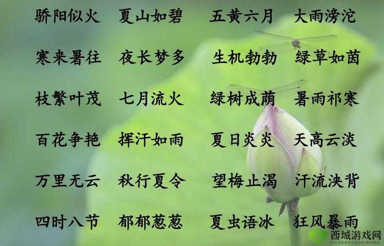 四季之门：解读春夏秋冬与门的成语之谜