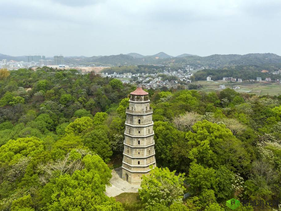 鑻忚蒋杞浼樿川鐏屾簤绯荤粺：揭秘娱乐圈背后的故事