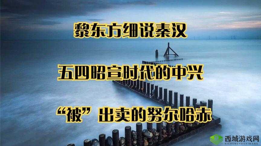 锲戒骇涓鍗 2 鍗 3 鍗″洓鍗$簿鍝丄 PP 鏀鎸佸畾鍒跺唴瀹圭綉鍙 解读