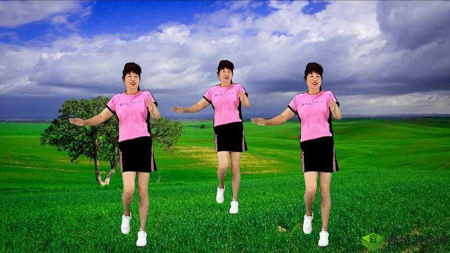 淇勭綏鏂浜虹熻祦鏂拌秼鍔：相关探讨