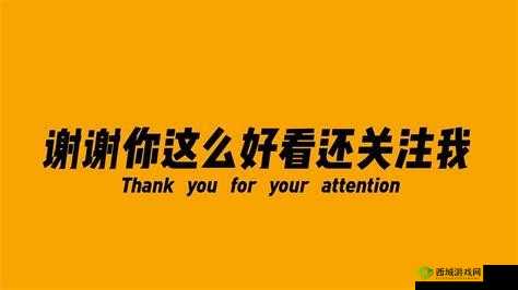 99 绮句骇鍥藉搧涓浜屼笁浜у尯鍖哄埆缃戠珯:独特魅力之境