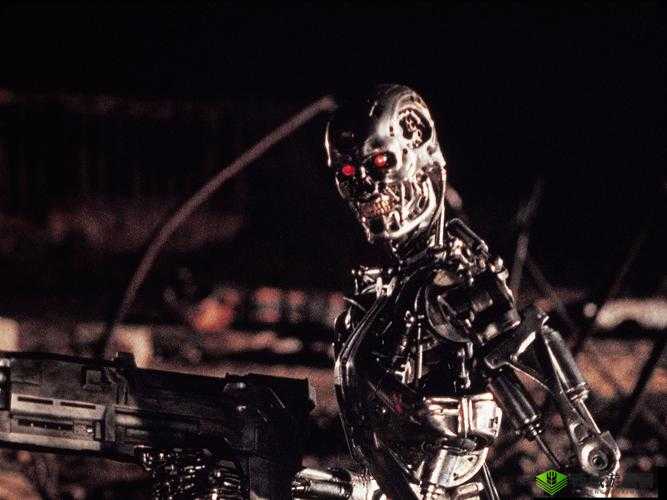 高级补给，审判日终结者开启终结者2终极宝箱，揭秘神秘奖励