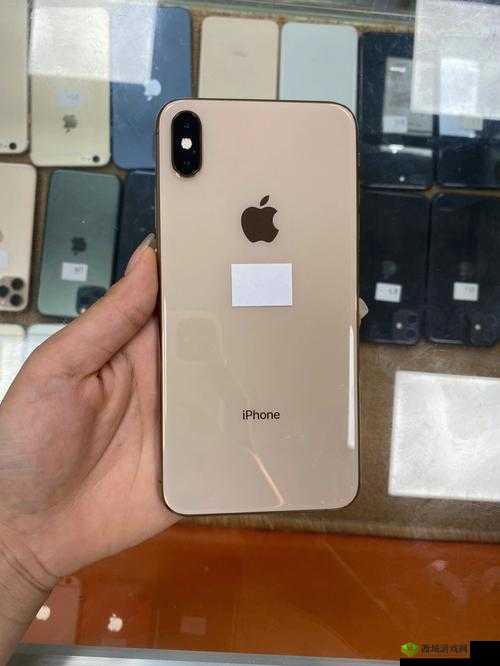 xsmax鐨勫栬傝嗛：它的独特之处