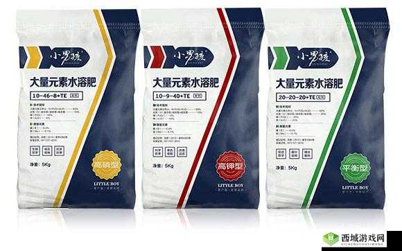 鑰佸啘姘戣佸共妫掔殑濯冲囨灉鍎挎槸璋：探寻真相