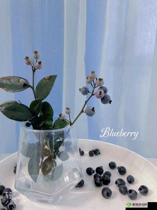 钃濊帗姹℃薄姹:探寻其神秘魅力