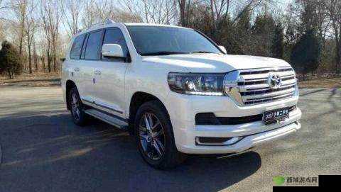 锲戒骇 SUV 绮惧搧涓鍖轰簩鍖 69 鍔涙帹:独特魅力车型