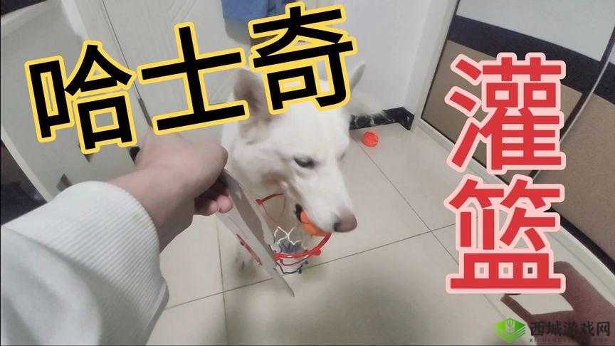 鎯虫壘涓涓鏃ラ夯灞佺——探索神秘之境