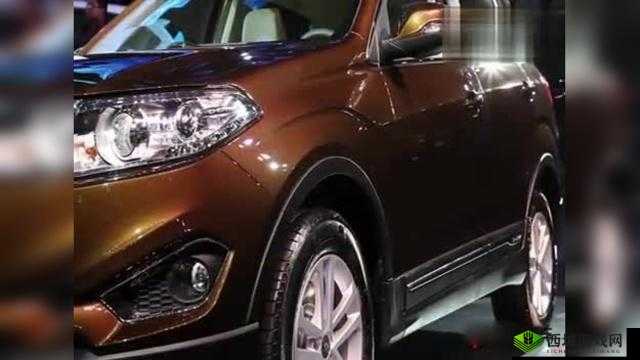 鍞愬北缁熸尝濉炶タ缁熺殑涓嶄害涔愪箮解读