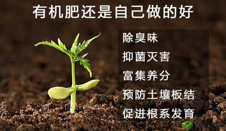 鎴愰暱鐨勭樺瘑姣涙瘺钁嗚憜瑙傚療璁板綍详细解读