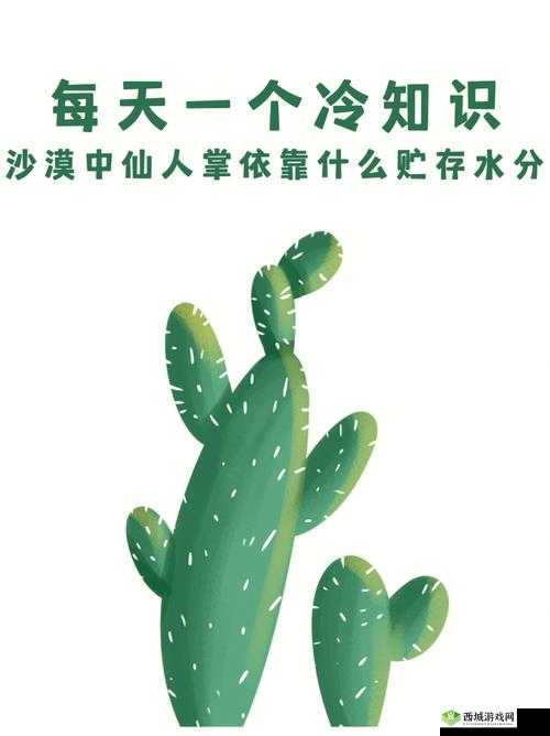 鎺㈢储闈掓ゼ浼犲獟：神奇的传说