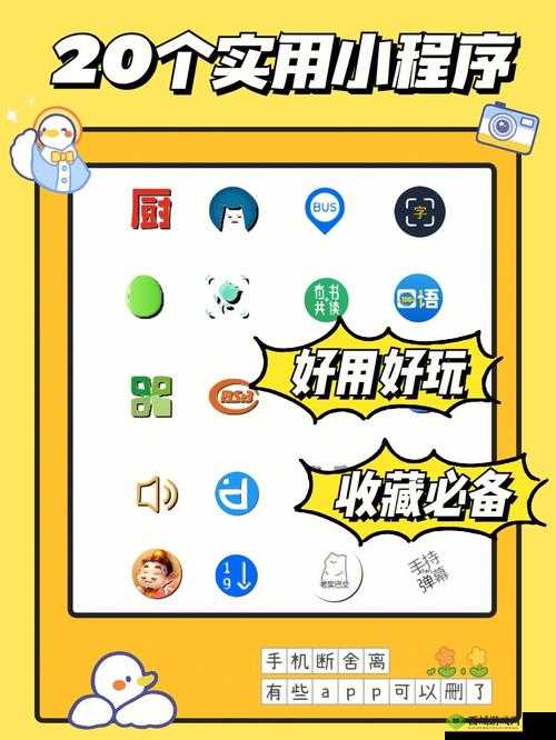 鑹插ぉ鍫侫 PP：一个有趣的应用程序