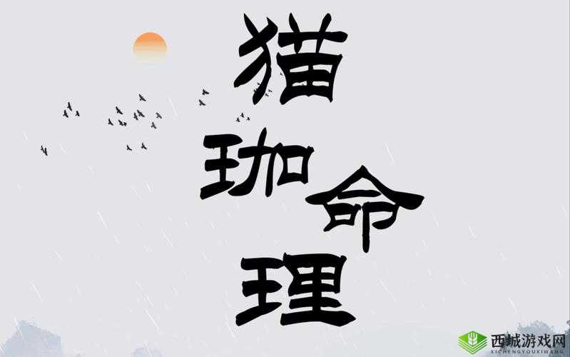 姹夋湇濂宠呴綈鑳歌ウ瑁欒獵瑙嗛 100 之特性介绍