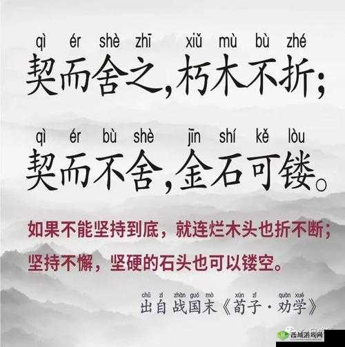 闇瑕佸堝堟挱绉嶇編鍥之相关解析