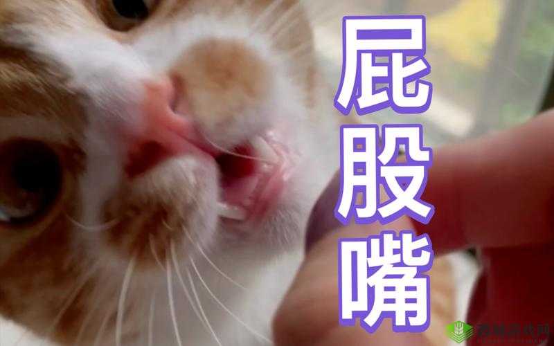 鐢风敓鎶婃墜鎸囨斁浣犲槾宸存槸浠涔堟剰鎬 引发的思考