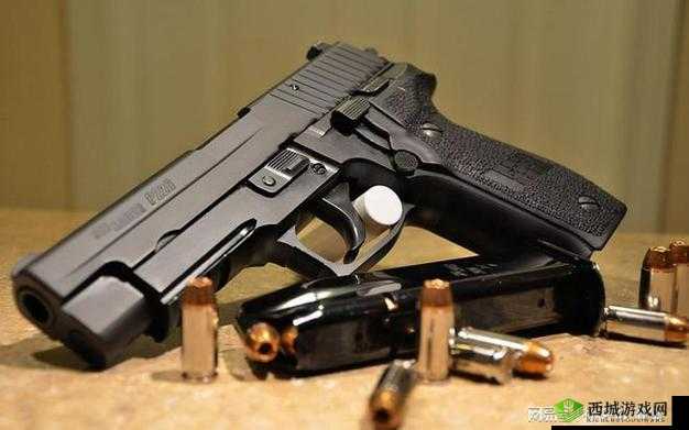 全民突击全系枪械全面分析及好枪排名详细解读