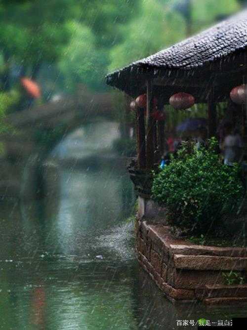 鐗瑰埆鐨勪綋妫灏忛洦：獨特的雨中奇景