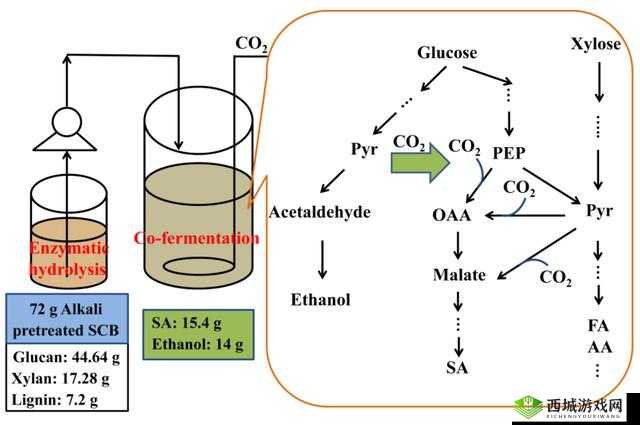 cola閰辩硸蹇僾log 之探索发现