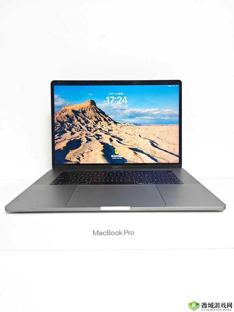 19 寸 MacBook Pro 性能与体验探讨