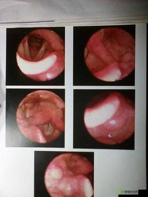 闅句互鍚榻縃PO：独特的存在
