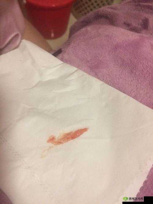 濂崇炴极鐢诲畼鏂归〉闈㈠厤璐规极鐢荤牬瑙ｇ増之分析