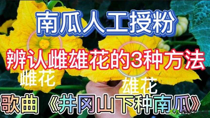 鎱堢Η 鐨勪竴銡娓鐗堟櫘閫氳瘽：探寻其中的奥秘