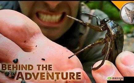 绮惧搧鏃ヤ骇涓鍗′簩鍗″洓鍗：神秘奇幻之旅