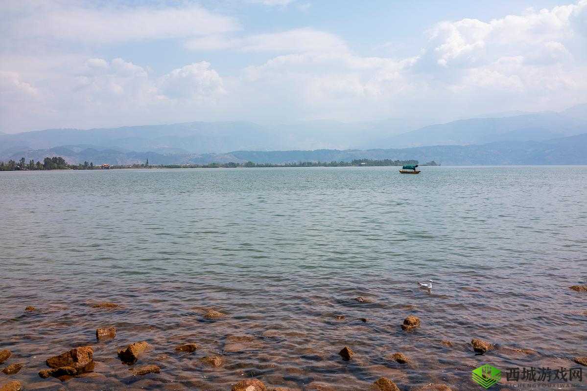 鎼炲熀杞浠:探索其独特魅力