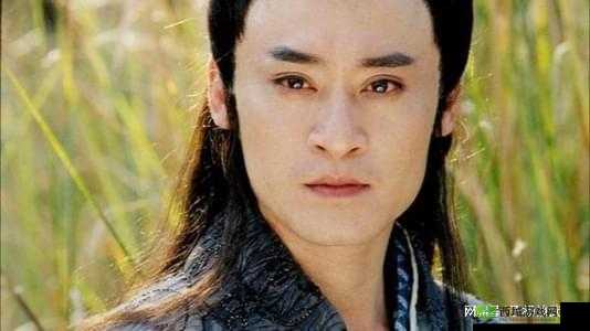 金庸群侠传之慕容复 以彼之道还施彼身的传奇风采展现