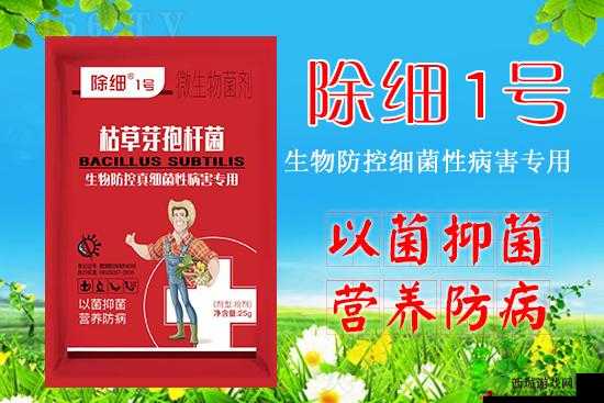 瀚╄崏绮句骇涓浜屼笁浜у尯:打造高品质的浜у尯服务