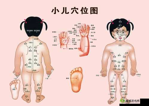 灏忔壂璐ф按镐庝箞澶氳嗛-探寻其奥秘所在