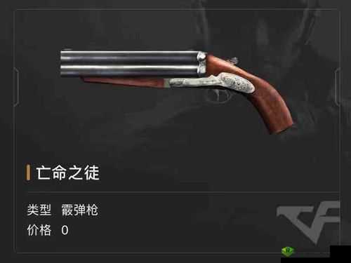 全民突击冷门散弹枪 PK 打法大揭秘：如何用冷门枪称霸战场