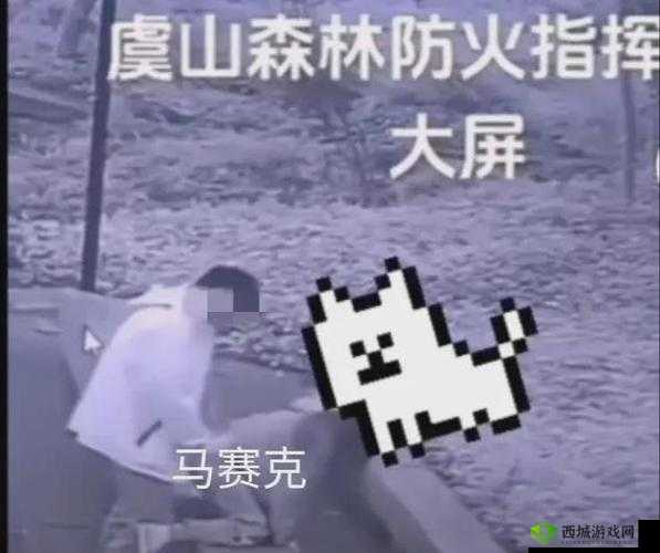 拔萝卜打牌不盖被子:这都什么事呀