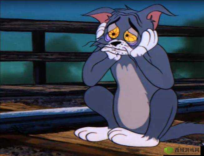 我的会说话的汤姆猫玩家必知玩法技巧攻略全解析