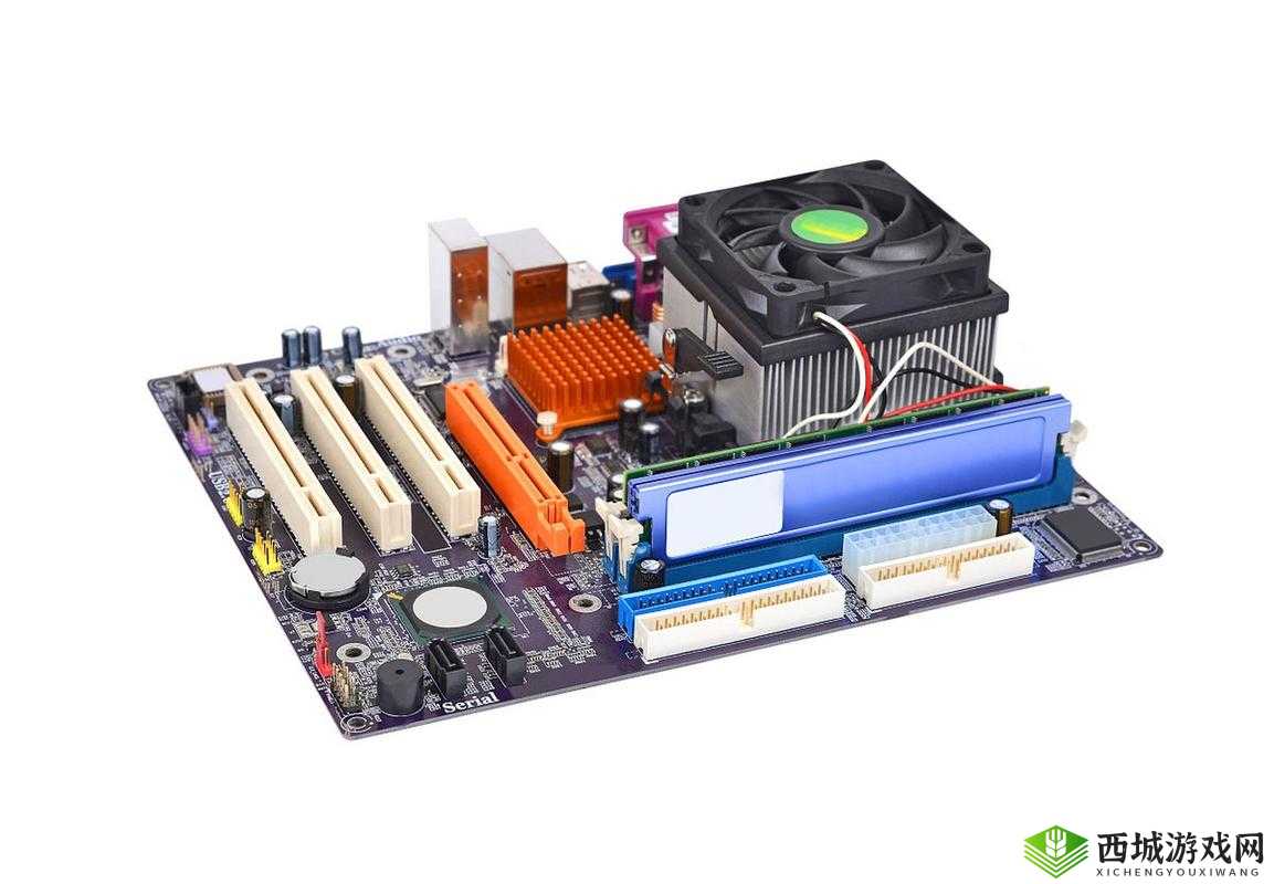 X8 插槽:拓展无限可能