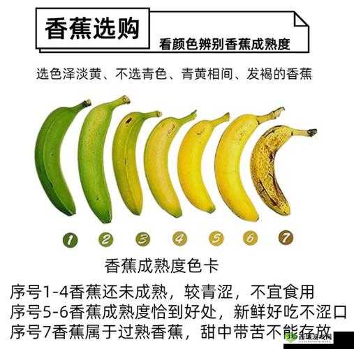 进口香蕉好吃还是国产香蕉好吃:到底谁更胜一筹