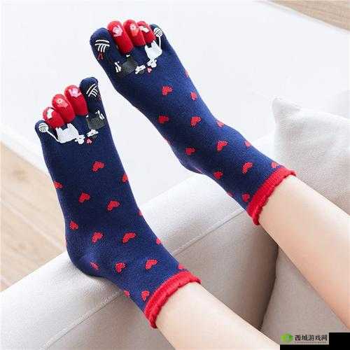 五指棉袜- 你想知道的价格都在这里