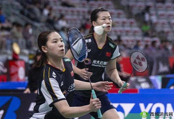 3.0.3 免费 vivo 版破解大全：热门资源集合