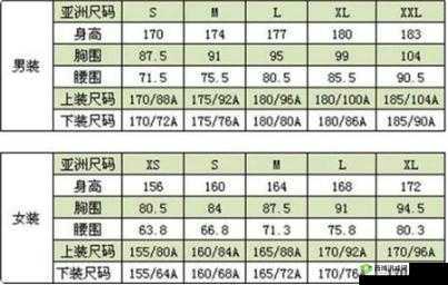 国产 L 码与欧版 L 码有何区别?