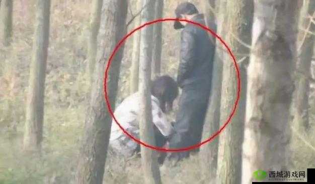 武汉公园老人非法交易图:令人震惊的一幕