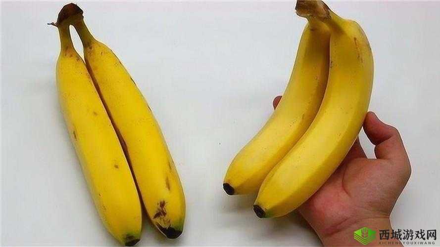 香蕉直的甜还是弯的甜：探究背后真相