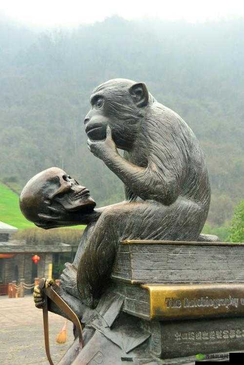 二人生猴子免费观看：探索未知的奇妙之旅