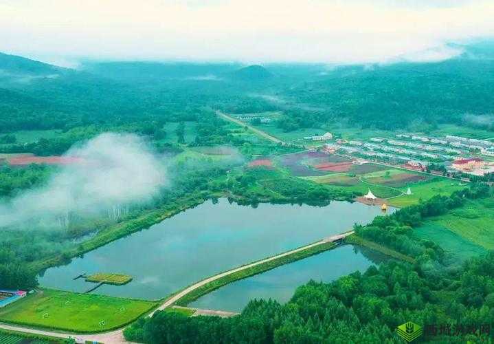 伊春园 2023 入口直达:全新体验开启