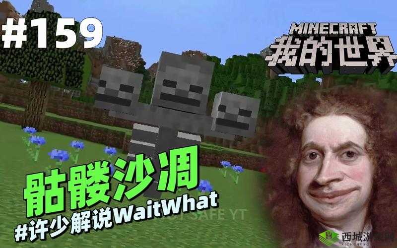 奶块世界中的骷髅王者位置揭秘，骷髅卫士所在览无余