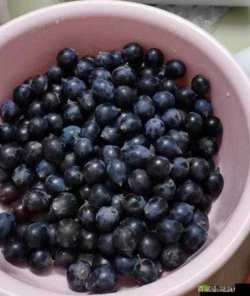 葡萄一粒一粒的往里放十粒：这是在做什么