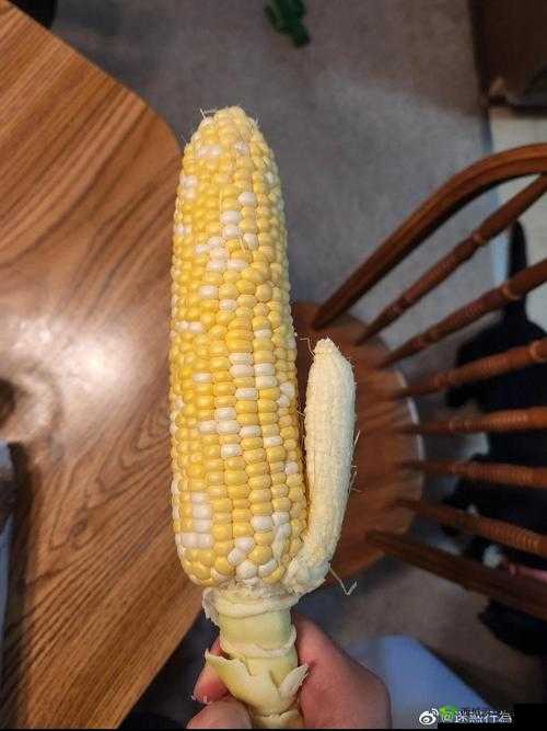 榴莲草莓西瓜茄子黄瓜：夏日蔬果大集合