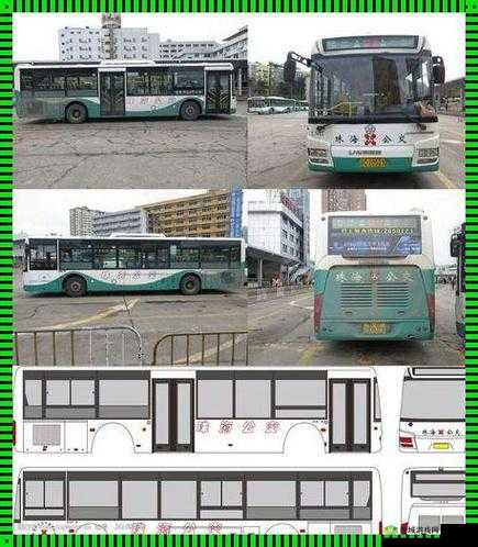 yingdan 小镇公交车尺寸：全面解析与数据详情
