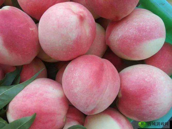 成熟水蜜桃的甜蜜诱惑：品尝一口，沉浸在桃色世界里