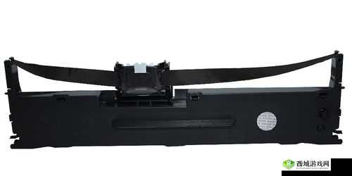 DS2600II 色带:优质打印的必备之选