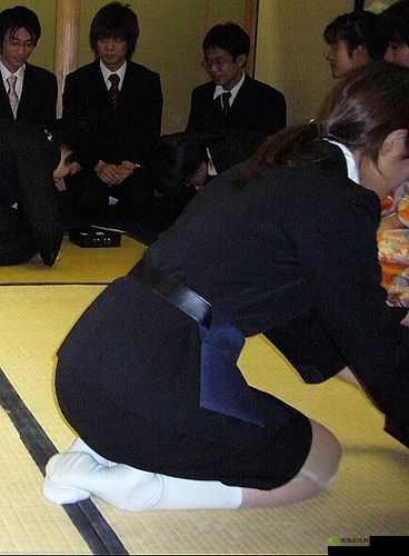 m 对主人的跪礼和要求：深度解析背后意义